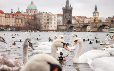 Similar image 12691199