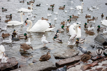 Similar image 12691233