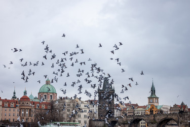 Similar image 12691234