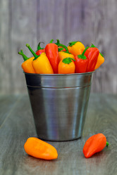 Similar image 12695214