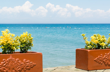 Similar image 12978499