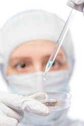 Similar image 12988690