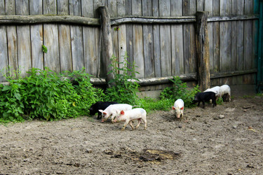 Similar image 12690578