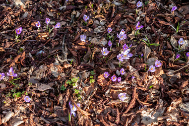 Similar image 12691272