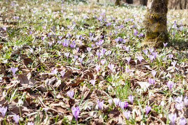 Similar image 12691273