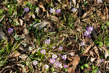 Similar image 12691276