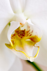 Similar image 12699340