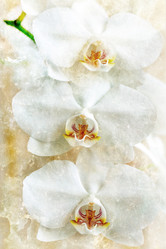 Similar image 12699341