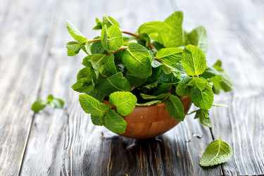 Similar image 12699384