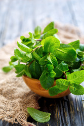 Similar image 12698982