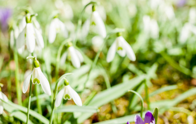 Similar image 12691201