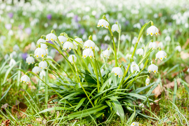 Similar image 12691202