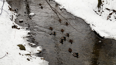 Similar image 12690652