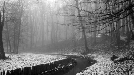 Similar image 12690653