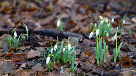 Similar image 12690654