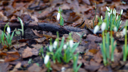 Similar image 12690655