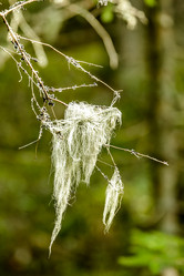 Similar image 12692274