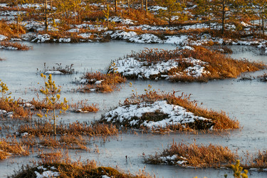 Similar image 12692285