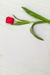 Similar image 12997326