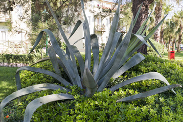 Similar image 12978475