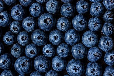 Similar image 12691210