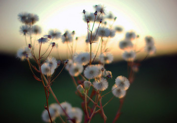 Similar image 12690589