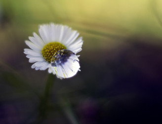 Similar image 12690590