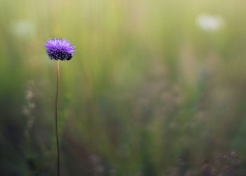 Similar image 12690591