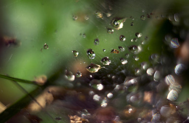 Similar image 12690592