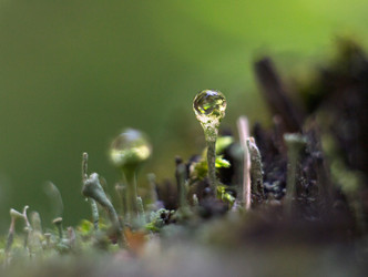 Similar image 12690594