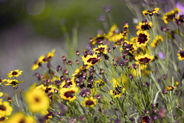 Similar image 12690601