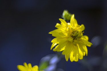 Similar image 12690603