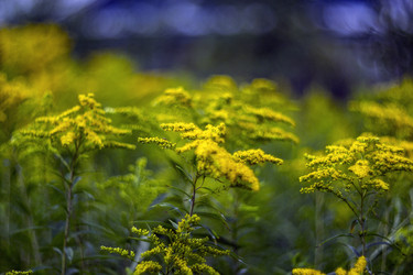 Similar image 12690604