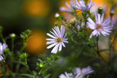 Similar image 12690605