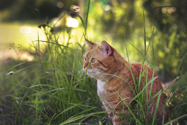 Similar image 12690607