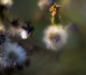 Similar image 12690610