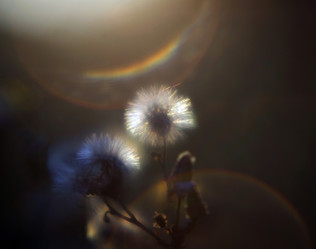 Similar image 12690611