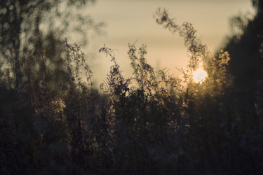 Similar image 12690613