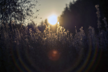 Similar image 12690614