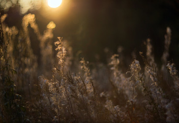 Similar image 12690615