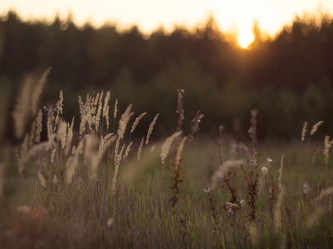 Similar image 12690616