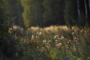 Similar image 12690617