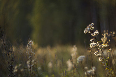 Similar image 12690619