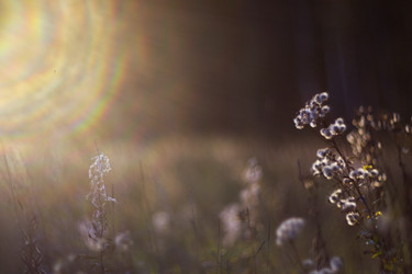 Similar image 12690620