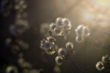 Similar image 12690621