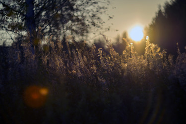 Similar image 12690622