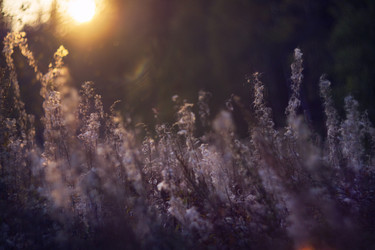 Similar image 12690624