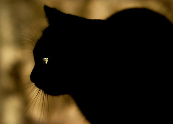 Similar image 12690625