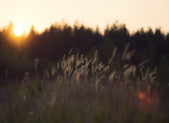 Similar image 12690626