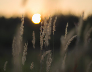 Similar image 12690628